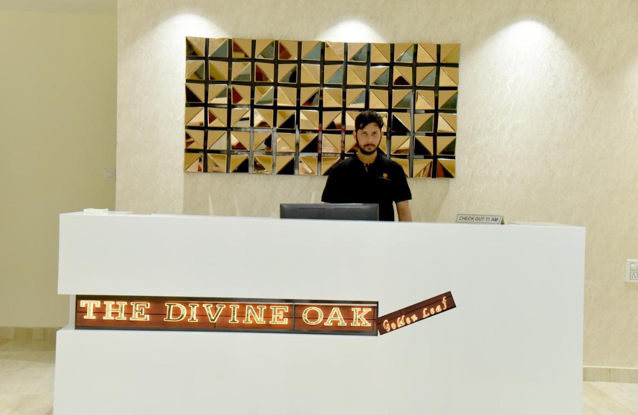 The Divine Oak Golden Leaf Hotell Katra  Exteriör bild