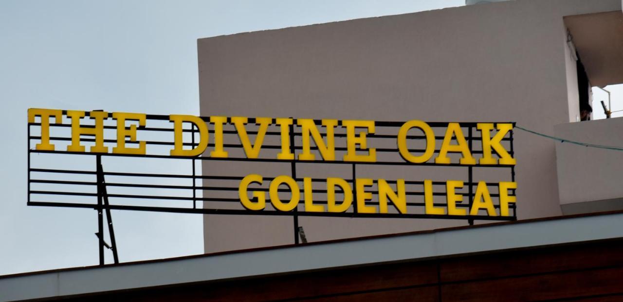 The Divine Oak Golden Leaf Hotell Katra  Exteriör bild